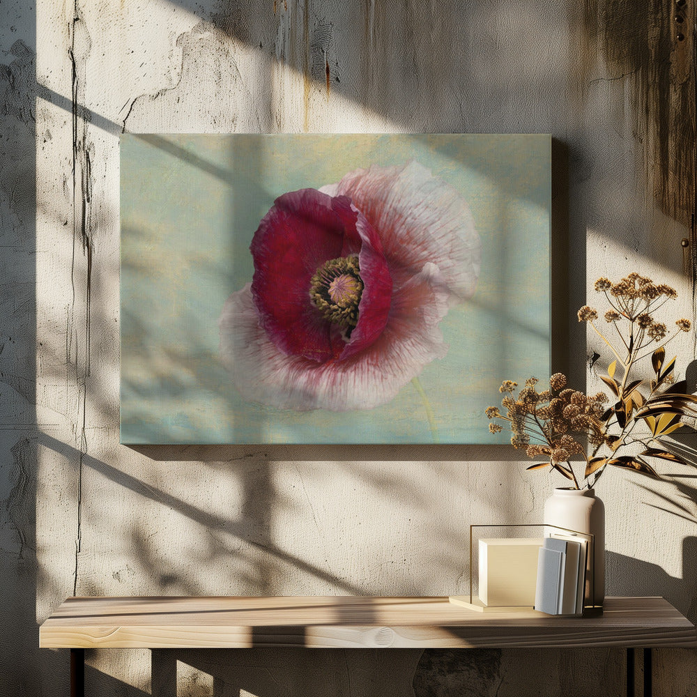 Burgundy Bonnet | Canvas