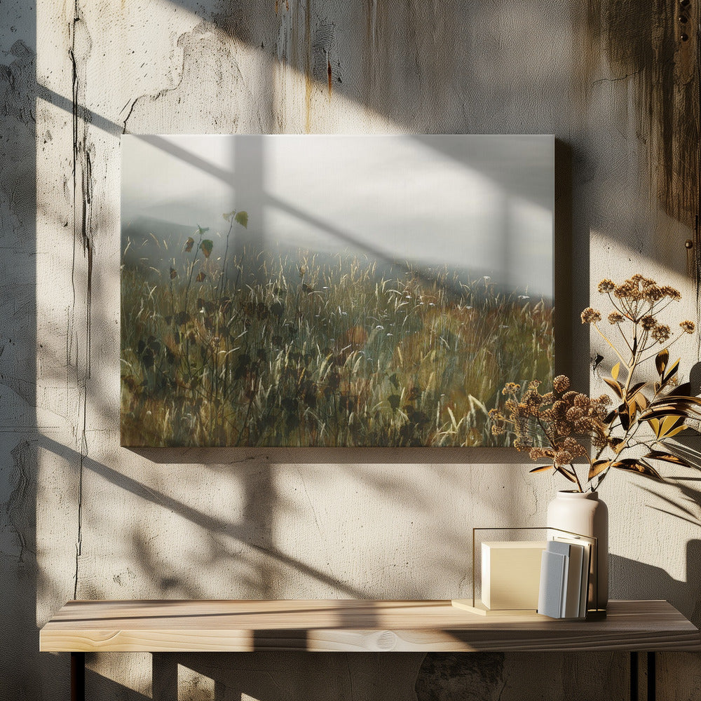 In the field | Canvas