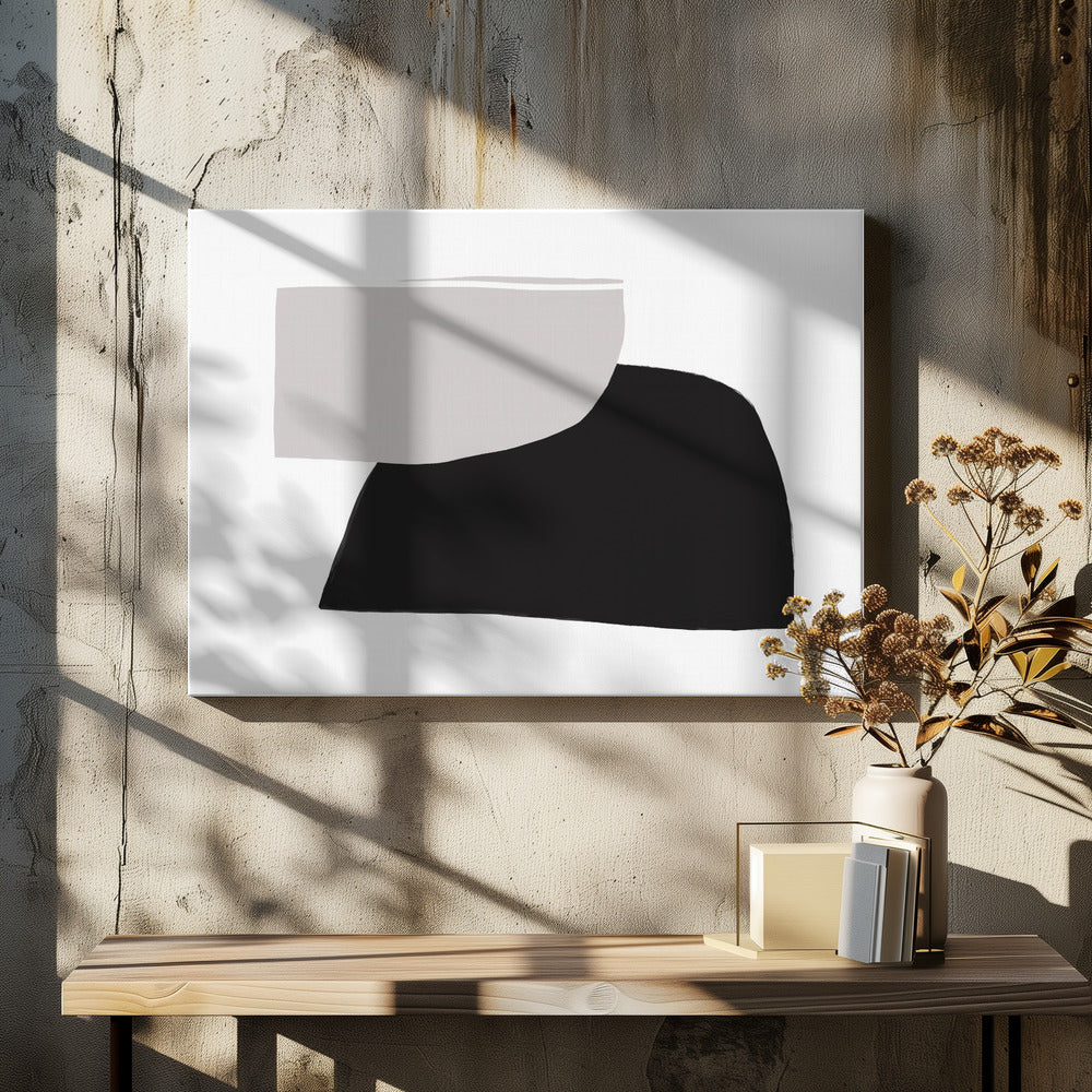 Monochrome Organic Shapes | Canvas