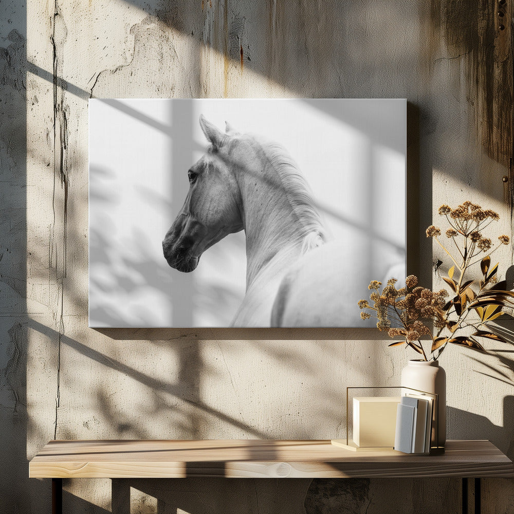a short story about a shorn horse | Canvas