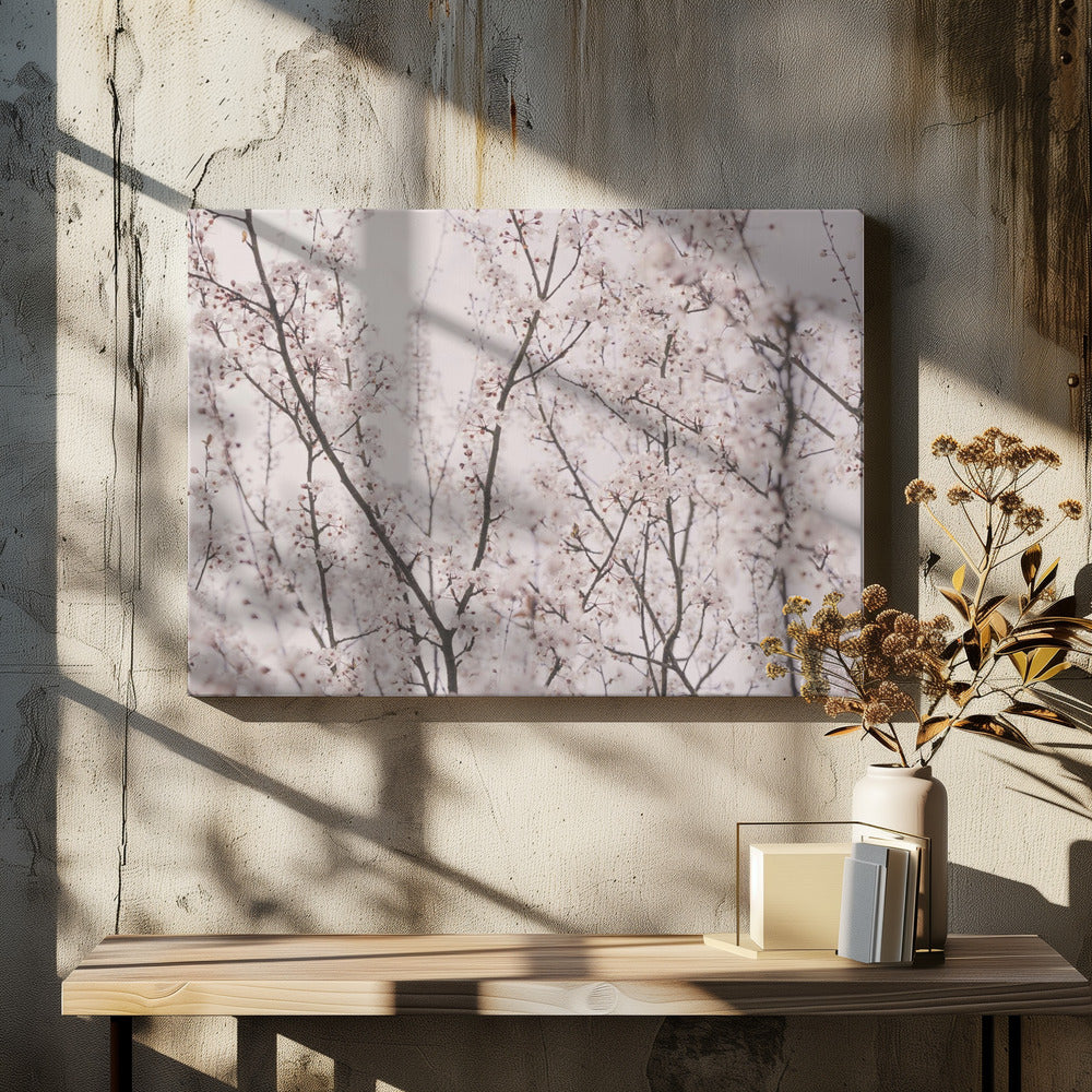 Spring blossoms | Canvas