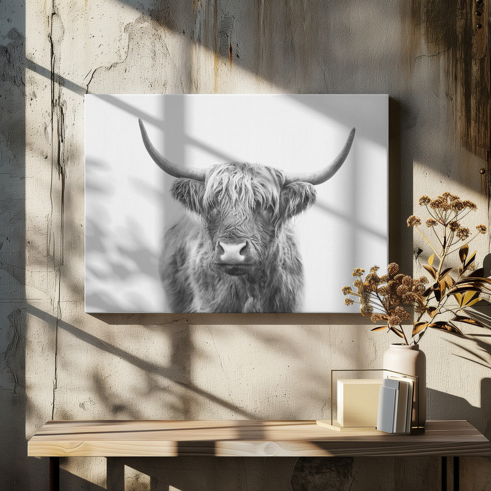 Highland Bull | Canvas
