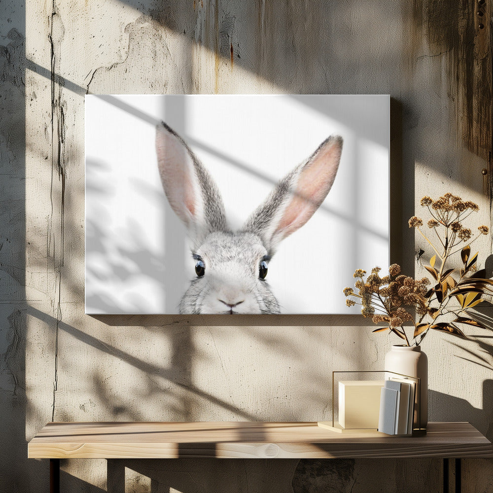 Peeking Bunny | Canvas