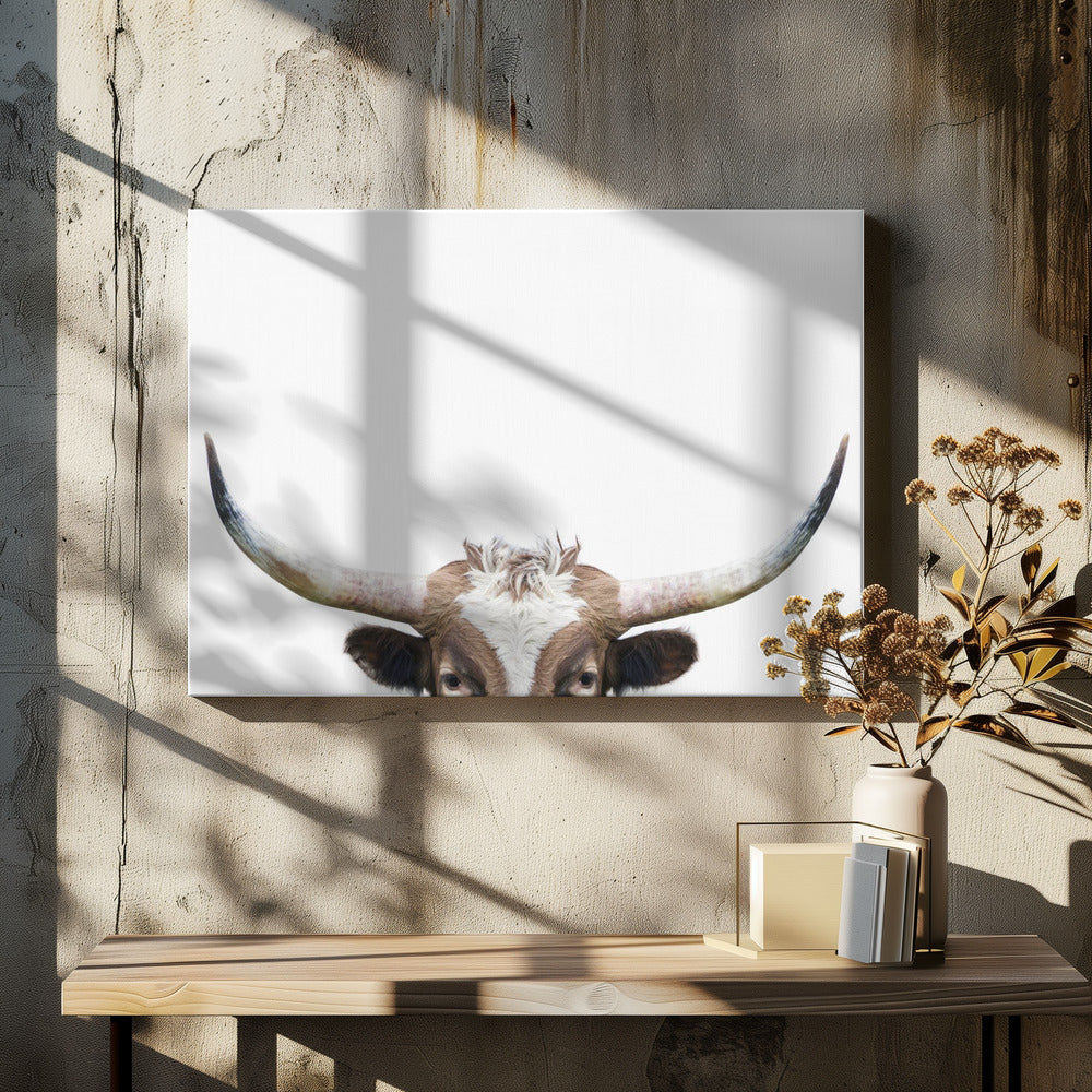 Peeking Longhorn Cow | Canvas