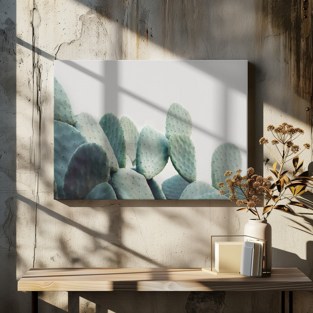 Pastel Cactus | Canvas