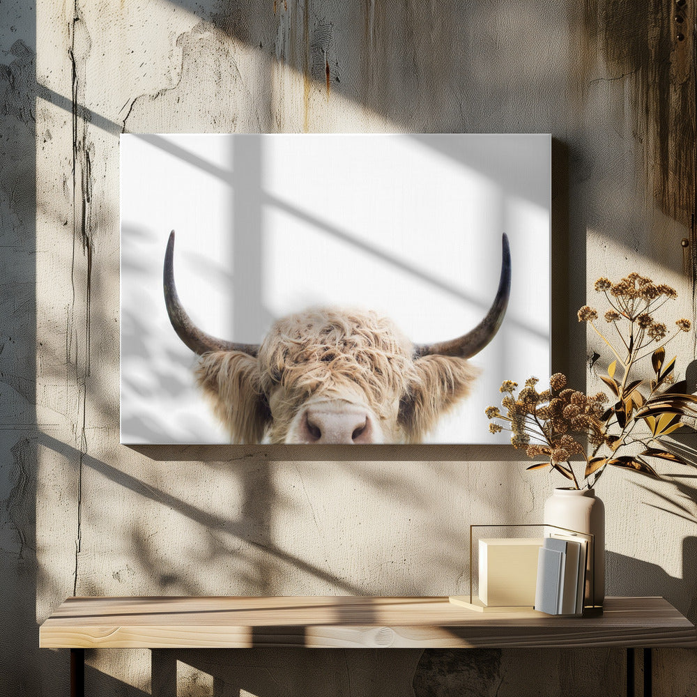 Peeking Cow | Canvas