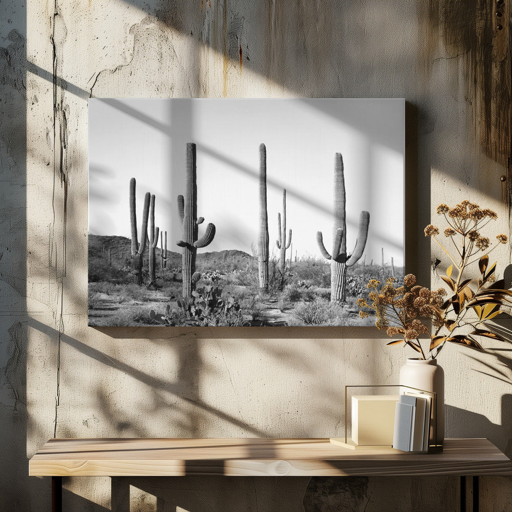 Grey Cactus Land | Canvas