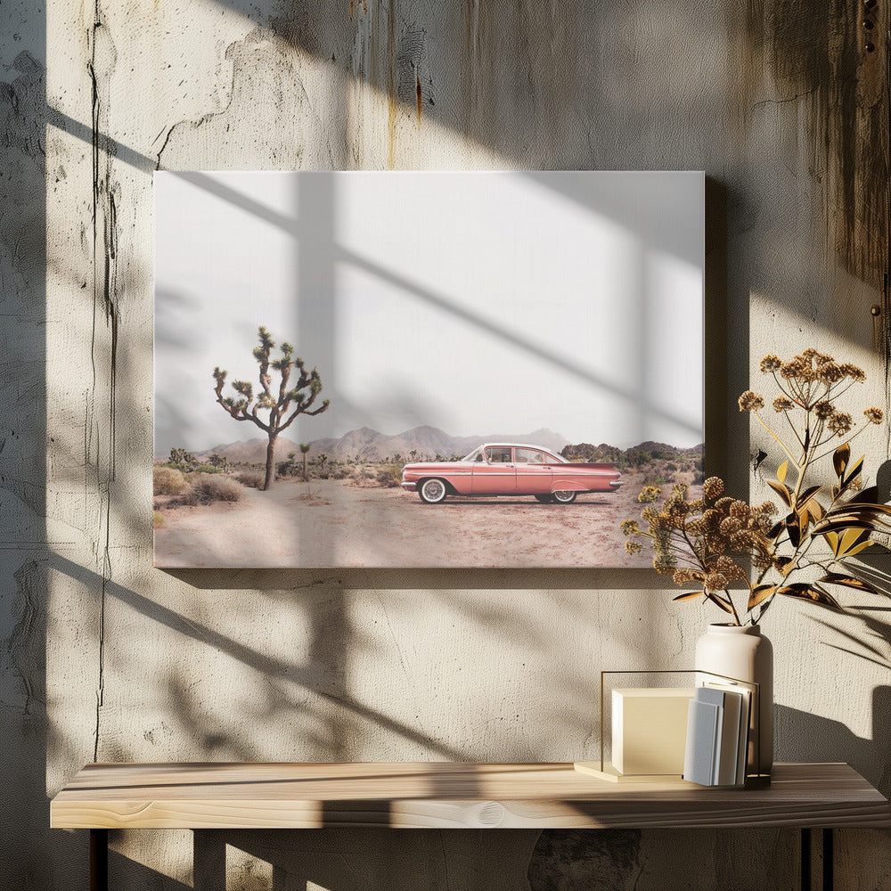 In the desert | Canvas