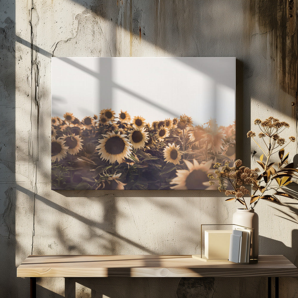 Sunflowers | Canvas