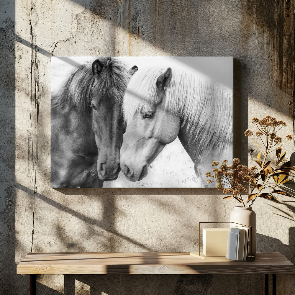 Horse Love | Canvas