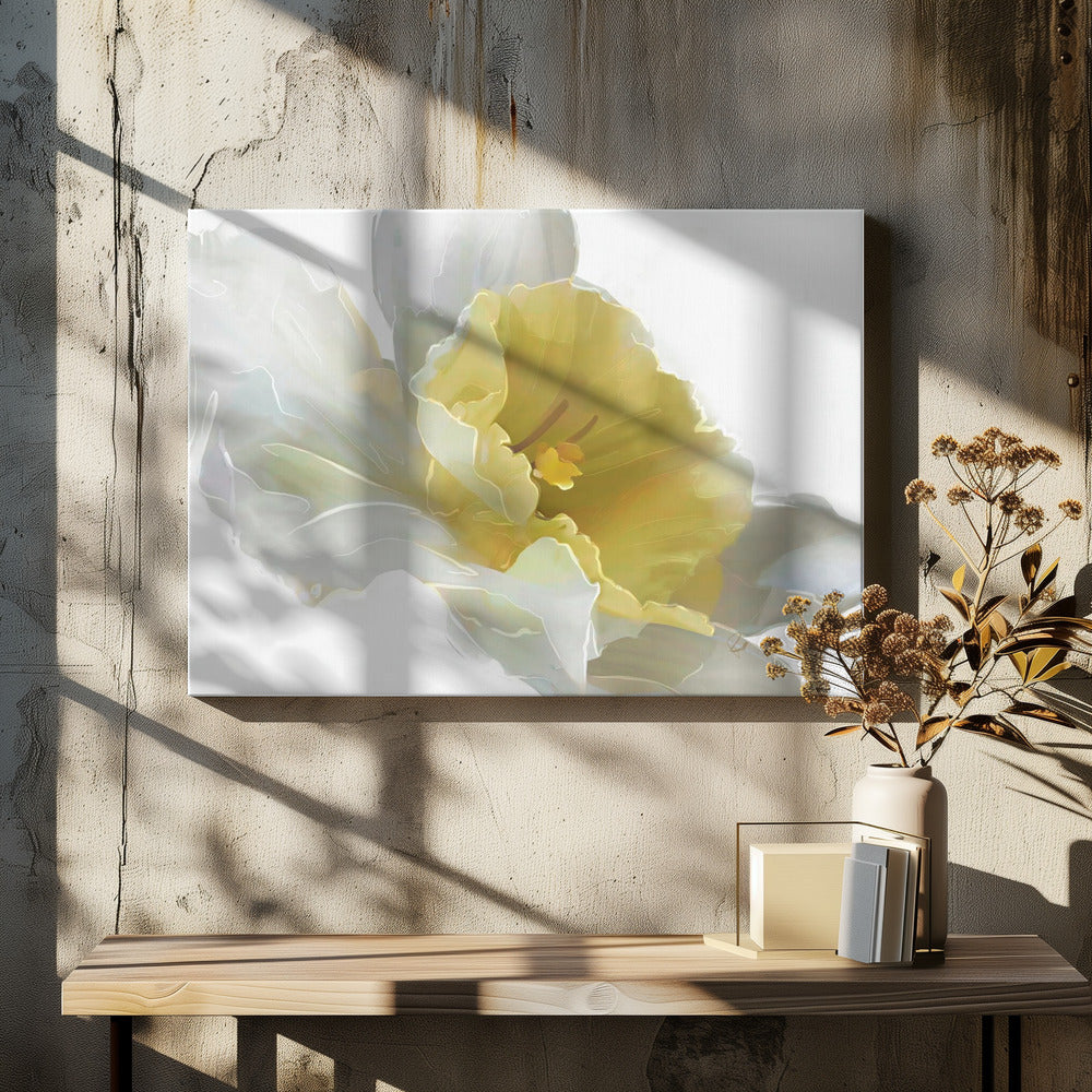 Daffodil | Canvas