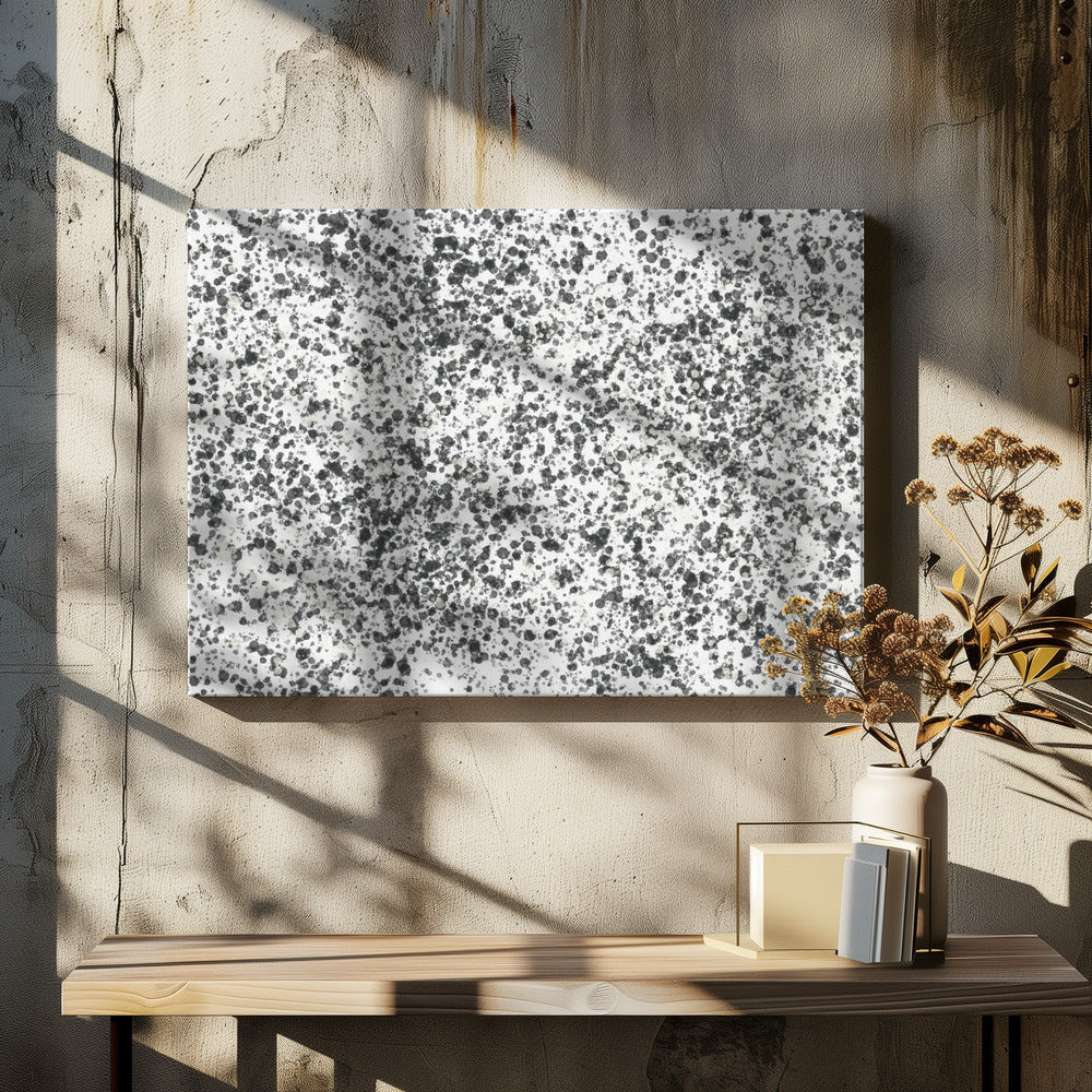 Monochrome Speckles | Canvas