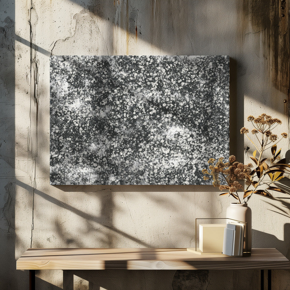 Monochromatic Splatter Pattern | Canvas