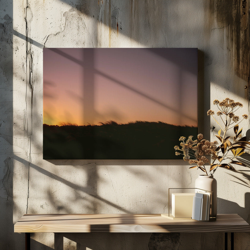 Dune Grass Sunset Horizontal | Canvas