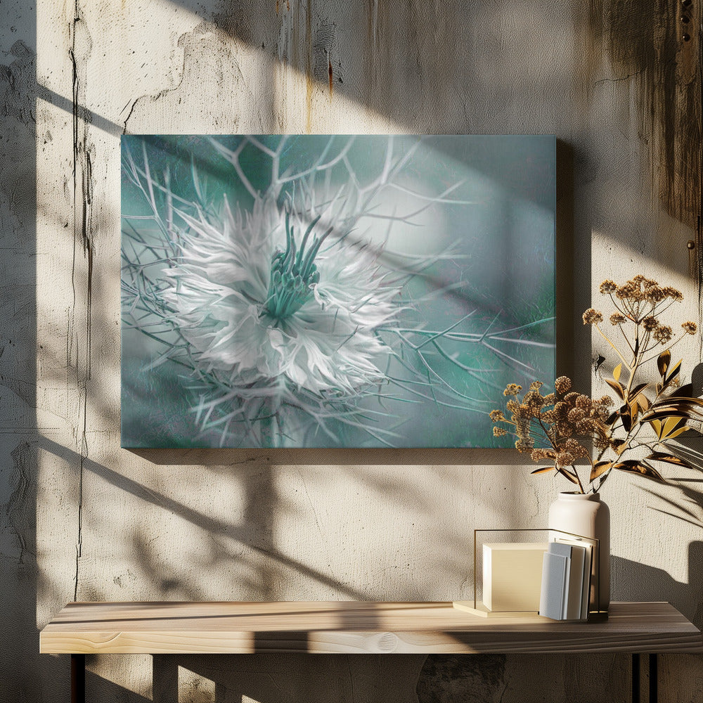 Afterglow | Canvas