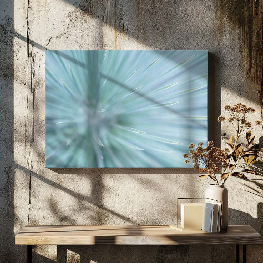 Soft Spikes | Canvas