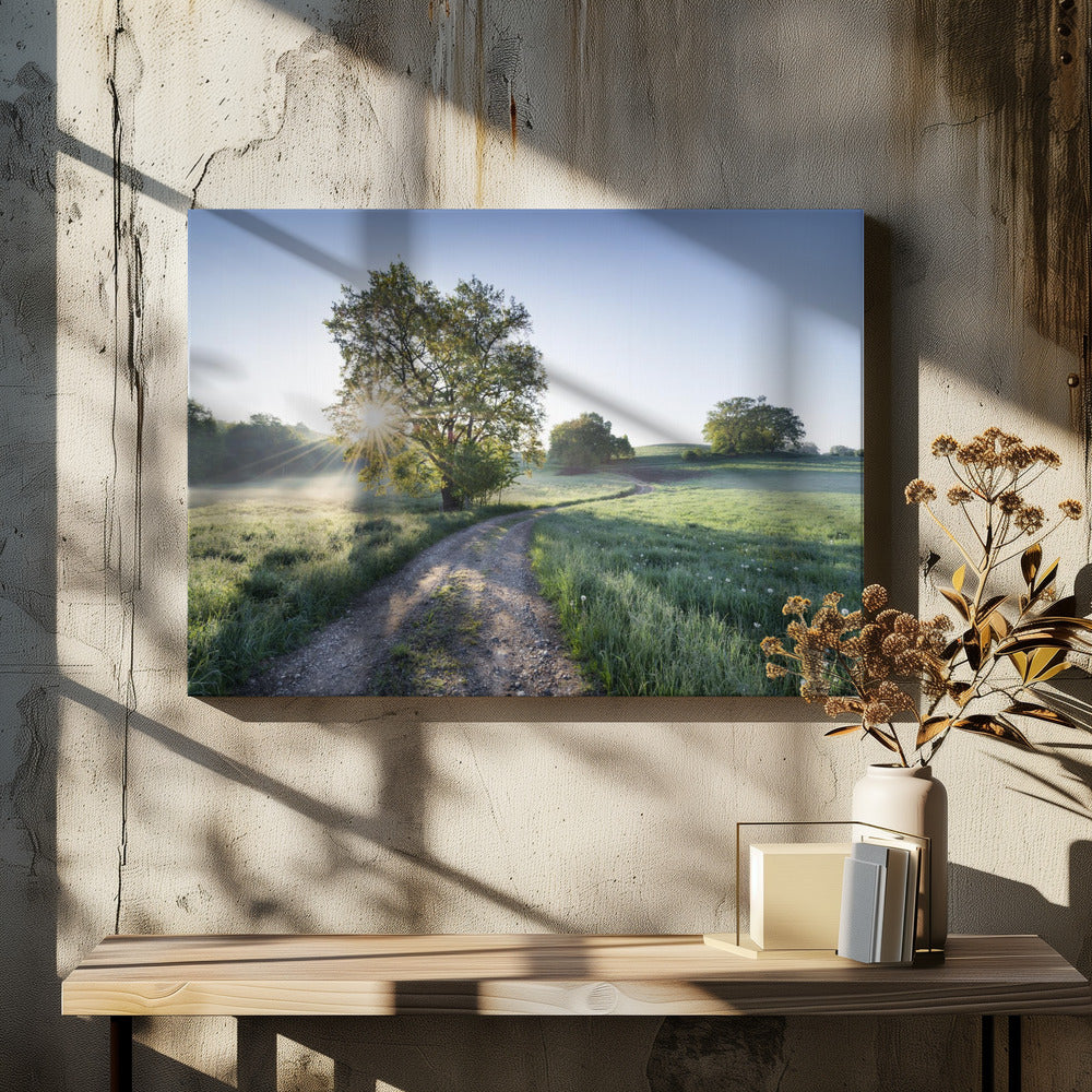 Spring Path | Canvas