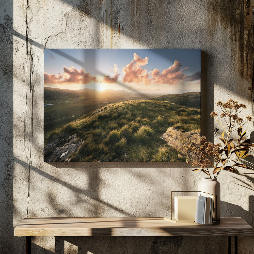 Soft Meadow | Canvas