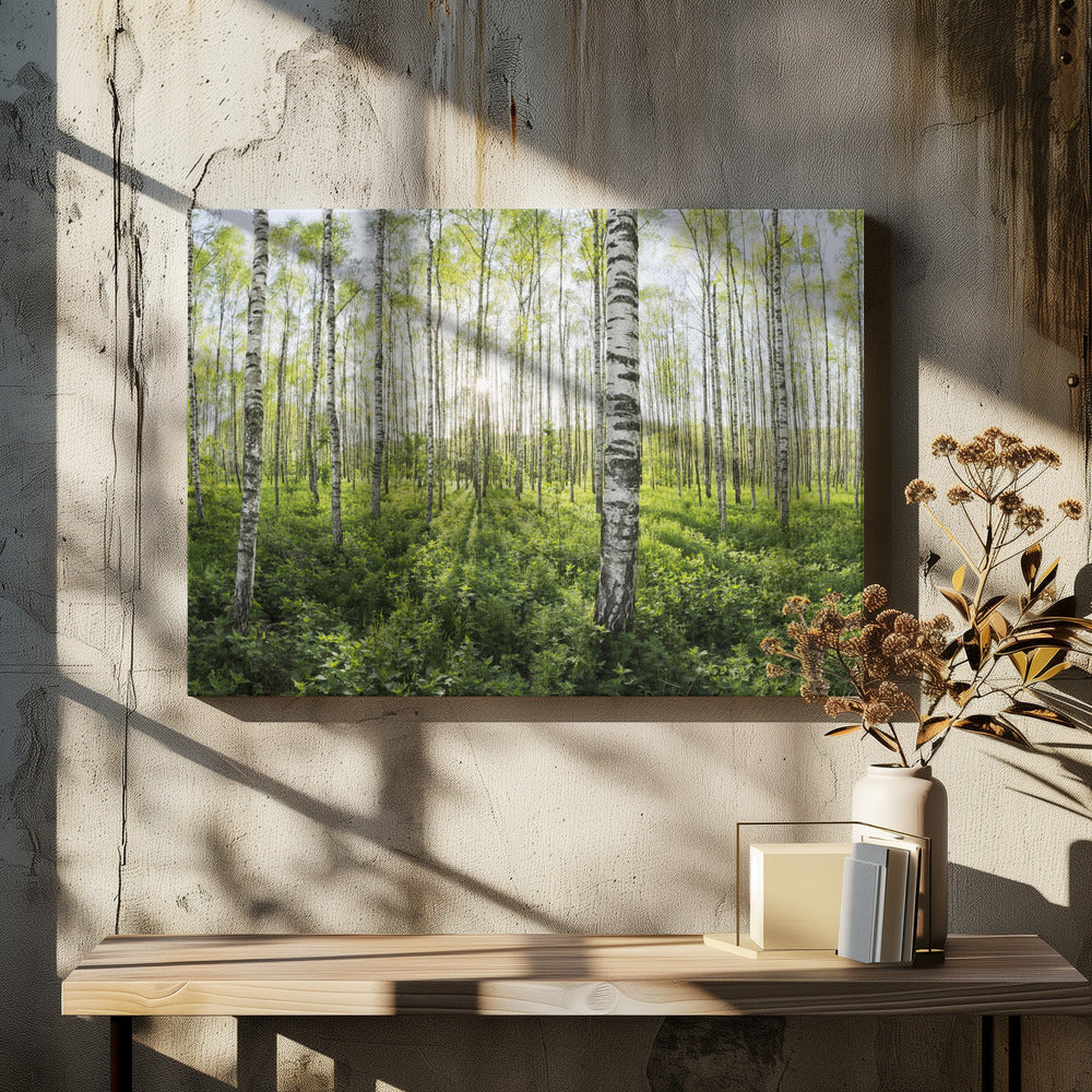 Spring in the Birch Forest | Canvas