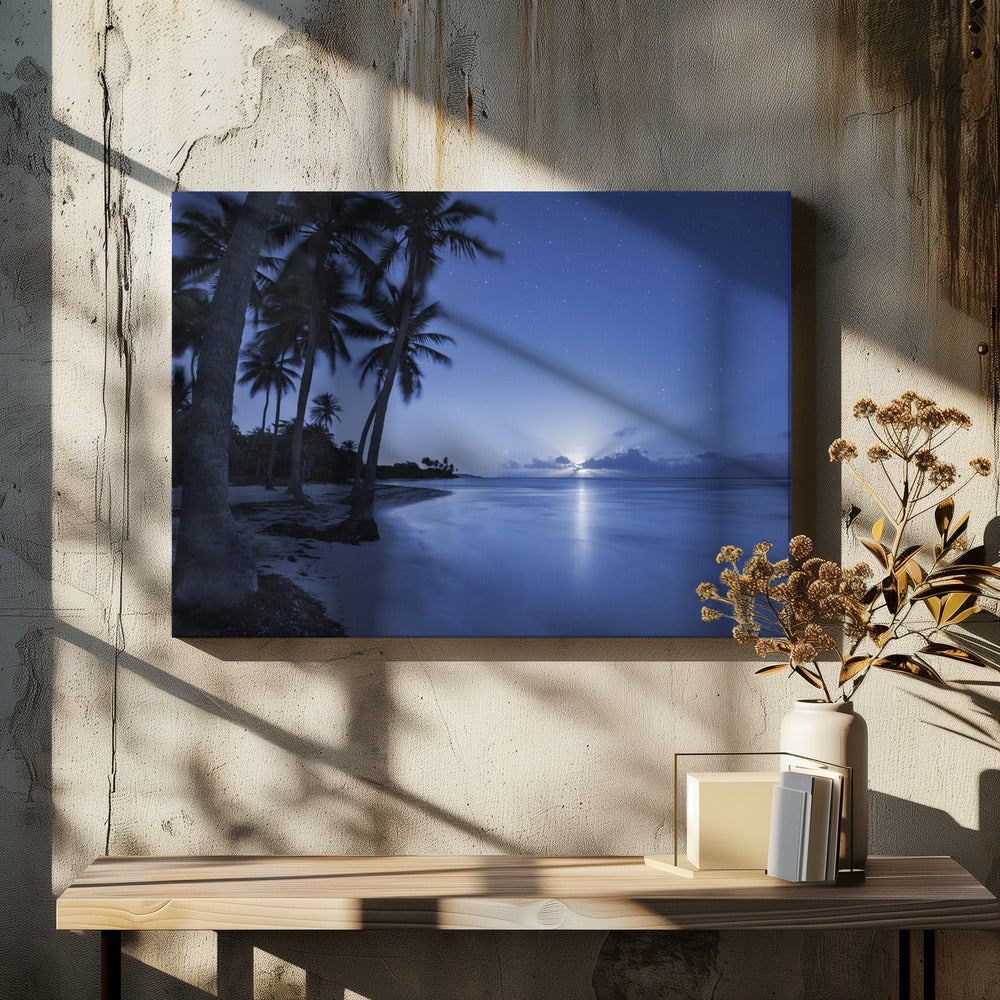 Tropical Moonrise | Canvas