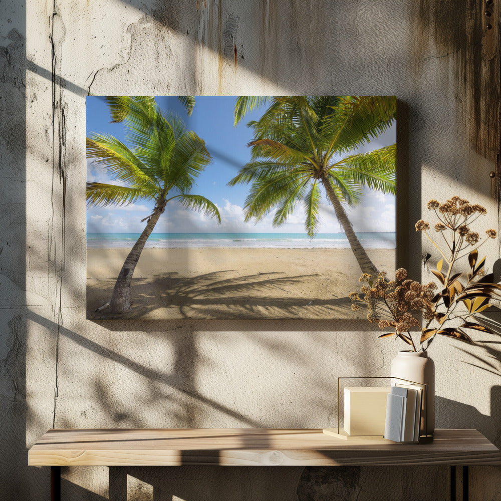 Palmy Beach | Canvas