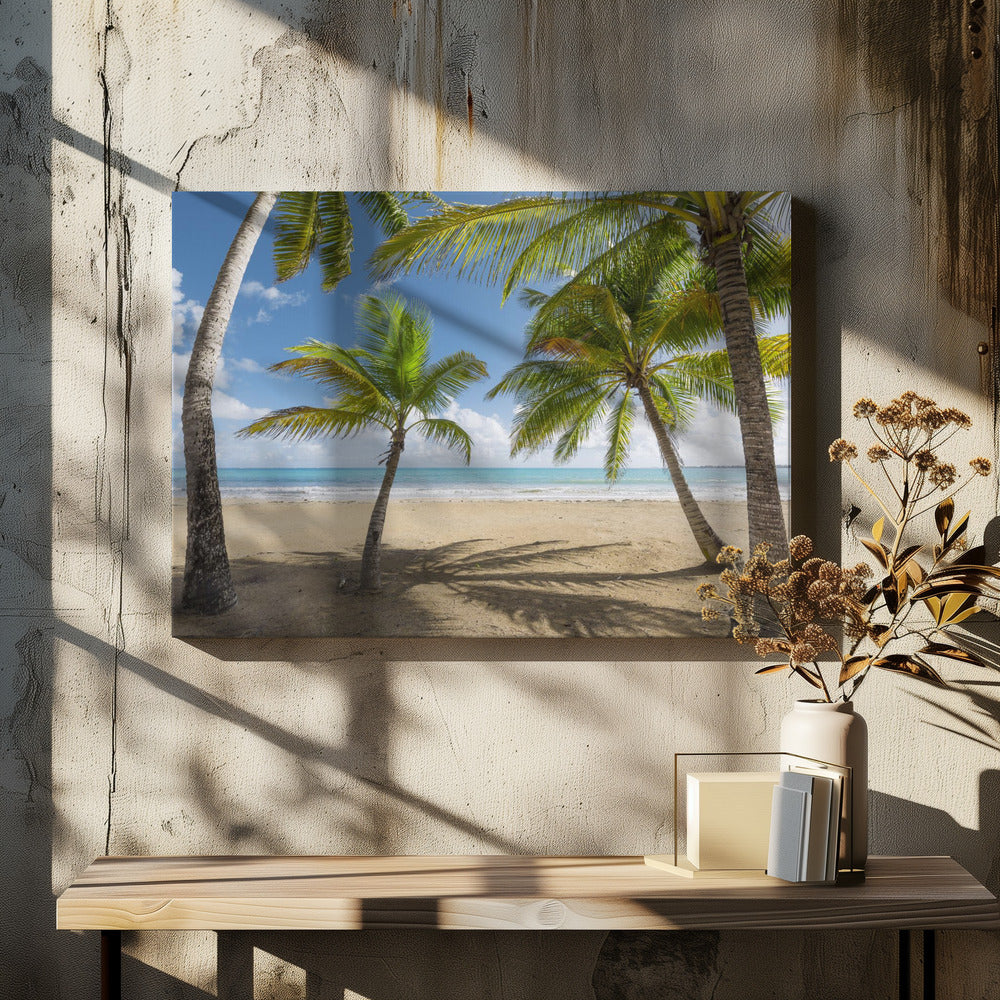 Palmy Beach II | Canvas