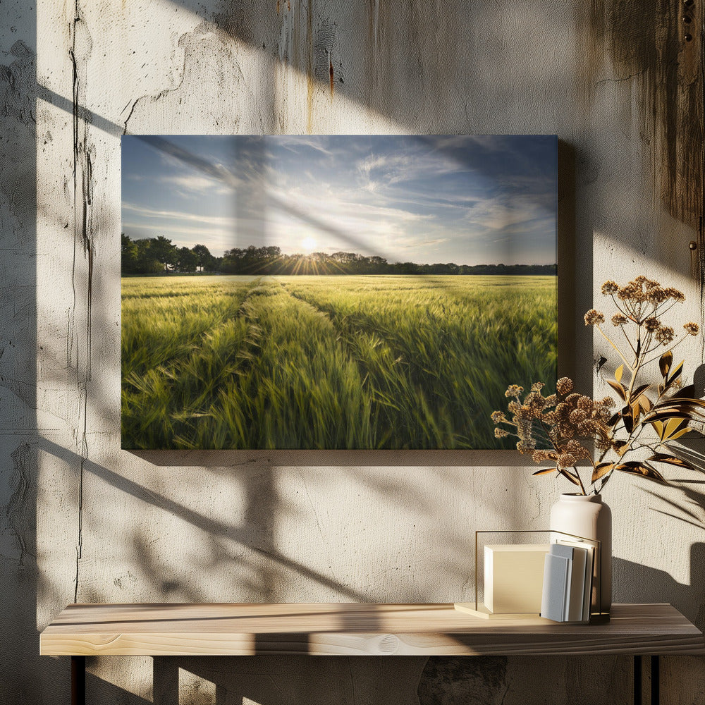 Barley Meadow | Canvas
