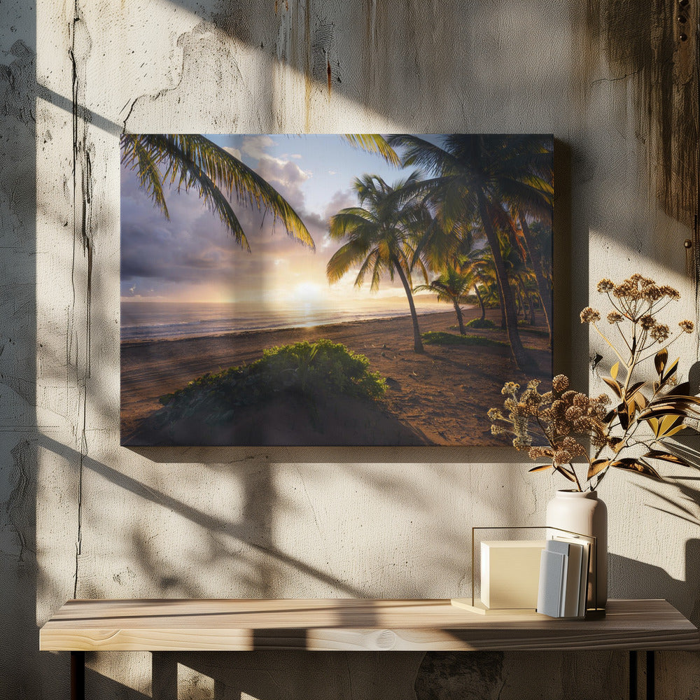 Good Morning Paradise | Canvas