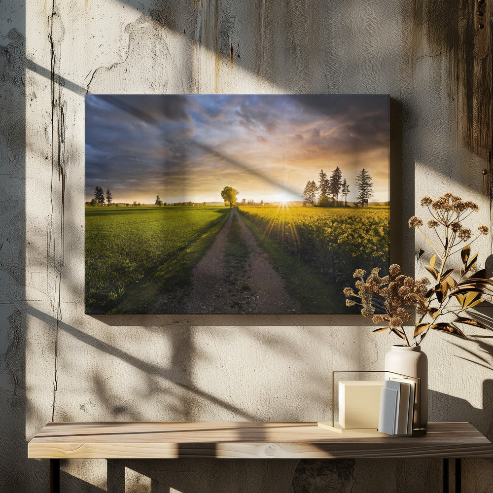 Summer Meadow | Canvas