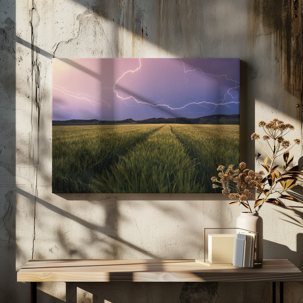 Lightning | Canvas