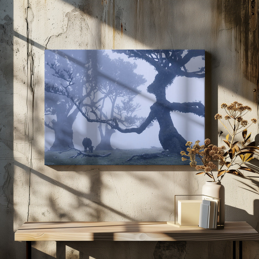 Blue Ent | Canvas