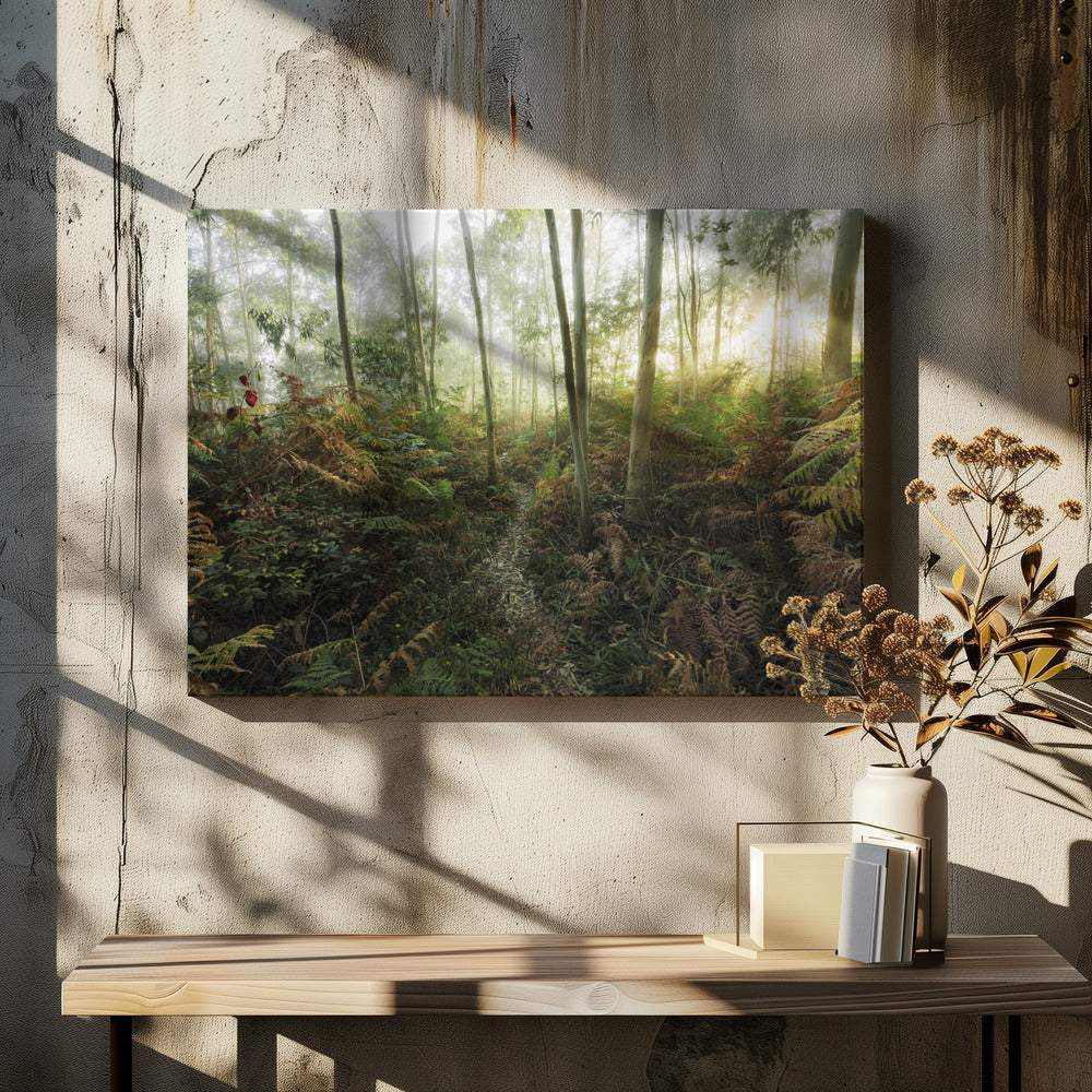 Foggy Woods II | Canvas