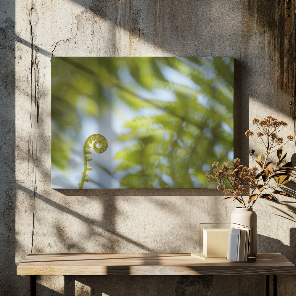 Fern Detail III | Canvas