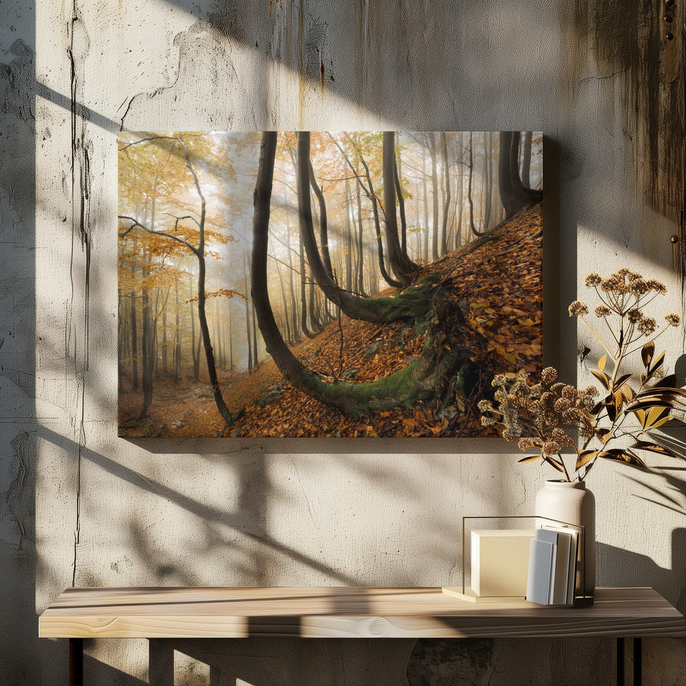 Mystic Autumn Forest | Canvas