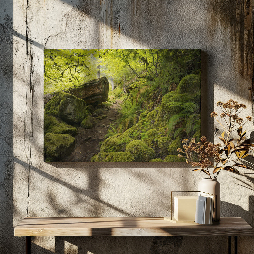 Mossy Path | Canvas