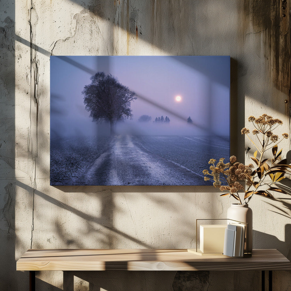 Moonlit Path | Canvas