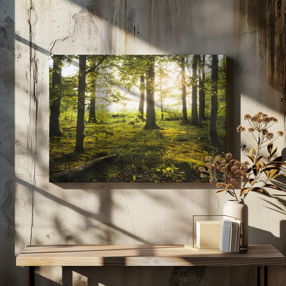 Summer in the Woods | Canvas