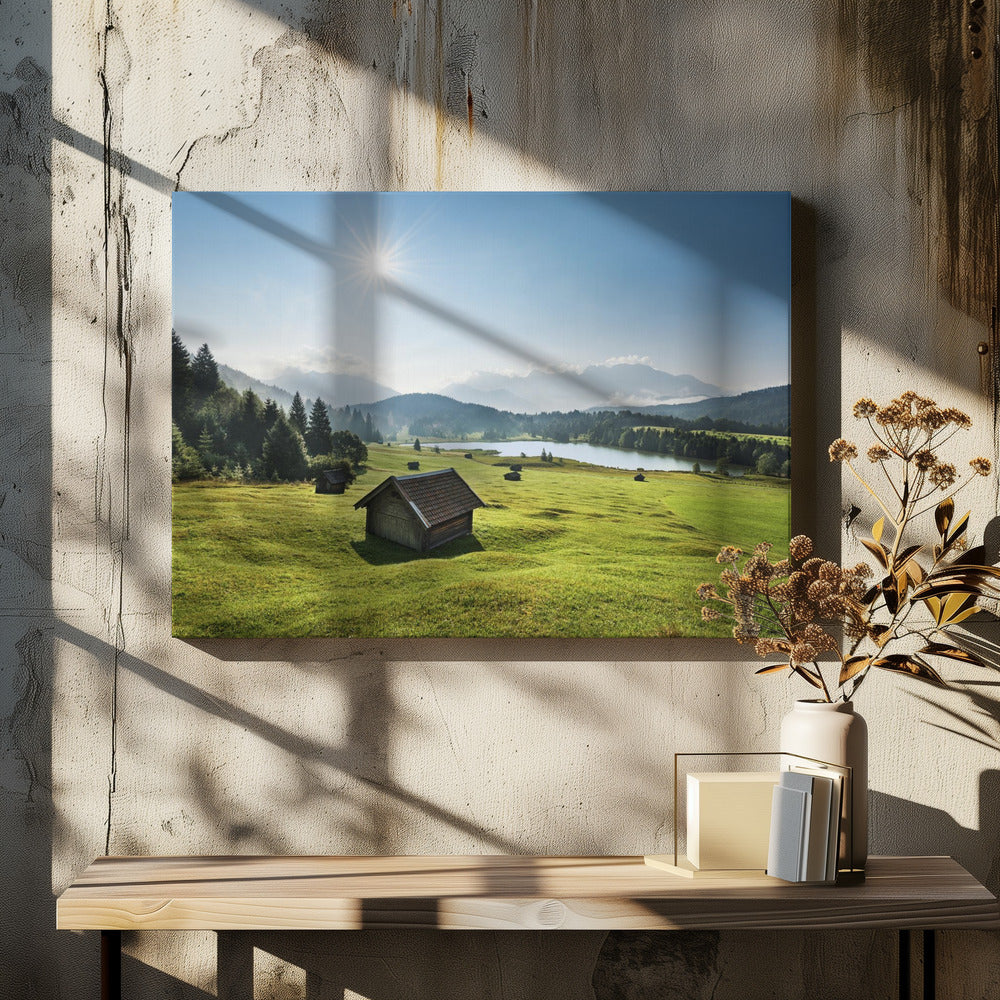 Summer Meadow | Canvas