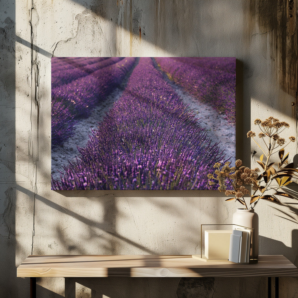 Lavender Detail | Canvas