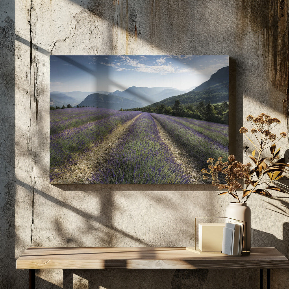Lavender Hills | Canvas
