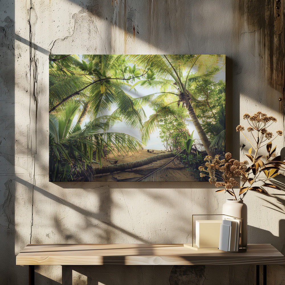 Pirates Nest | Canvas