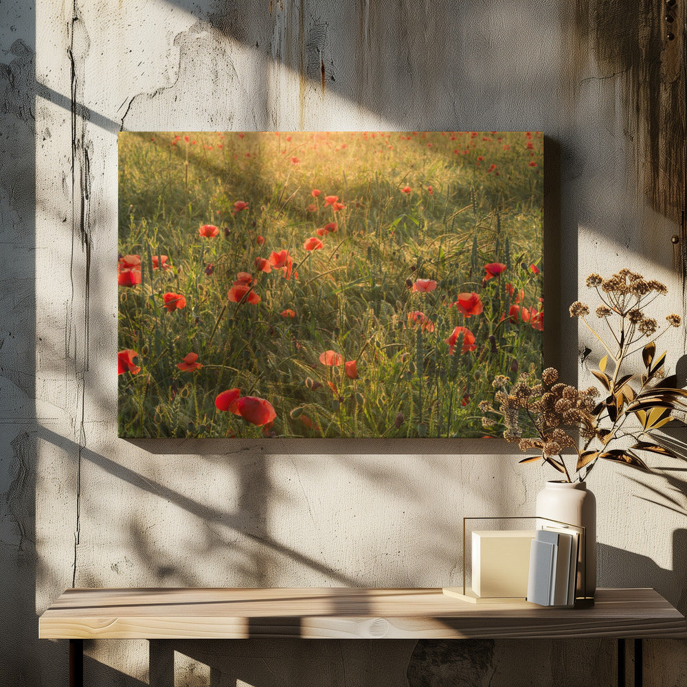 Poppy World II | Canvas
