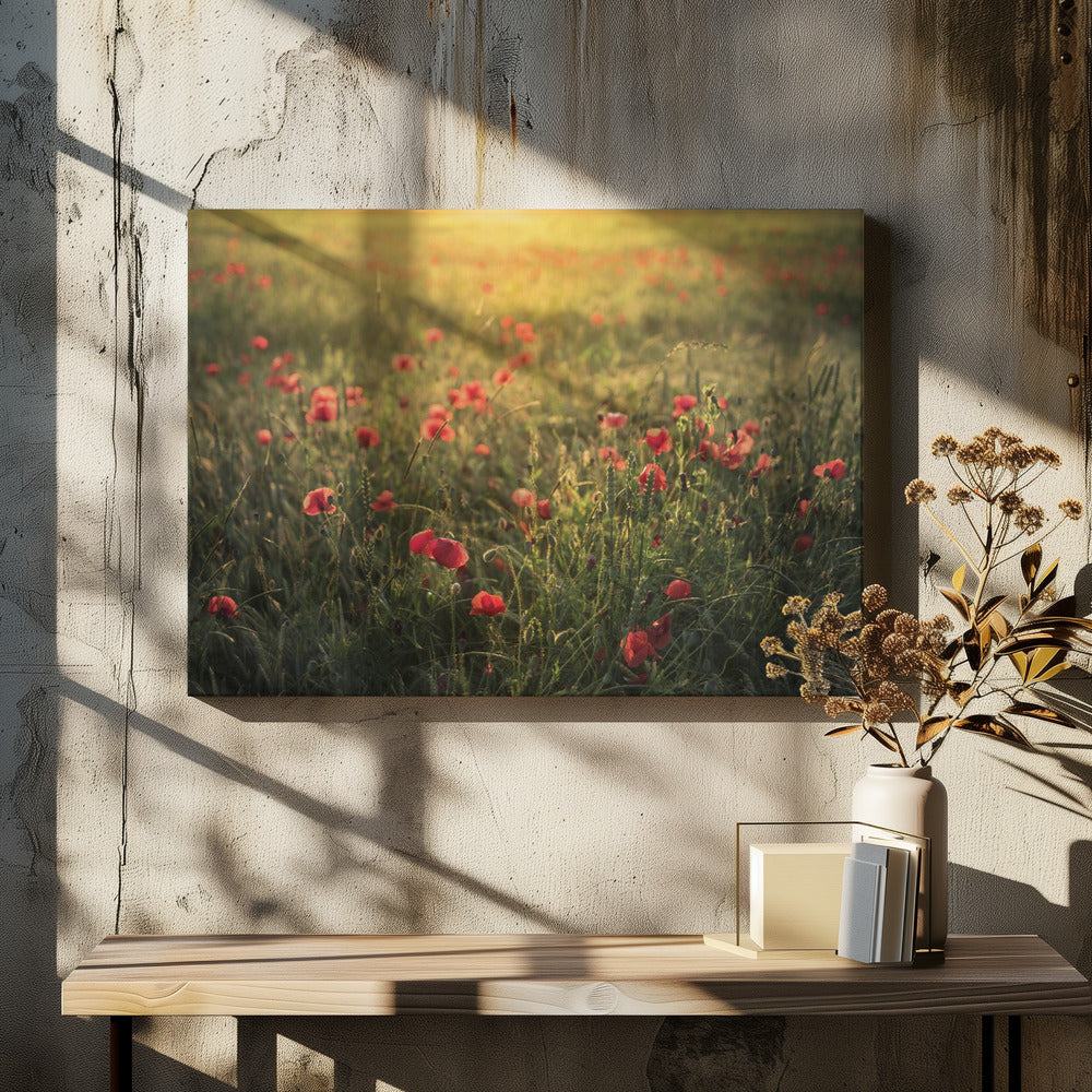 Poppy World III | Canvas