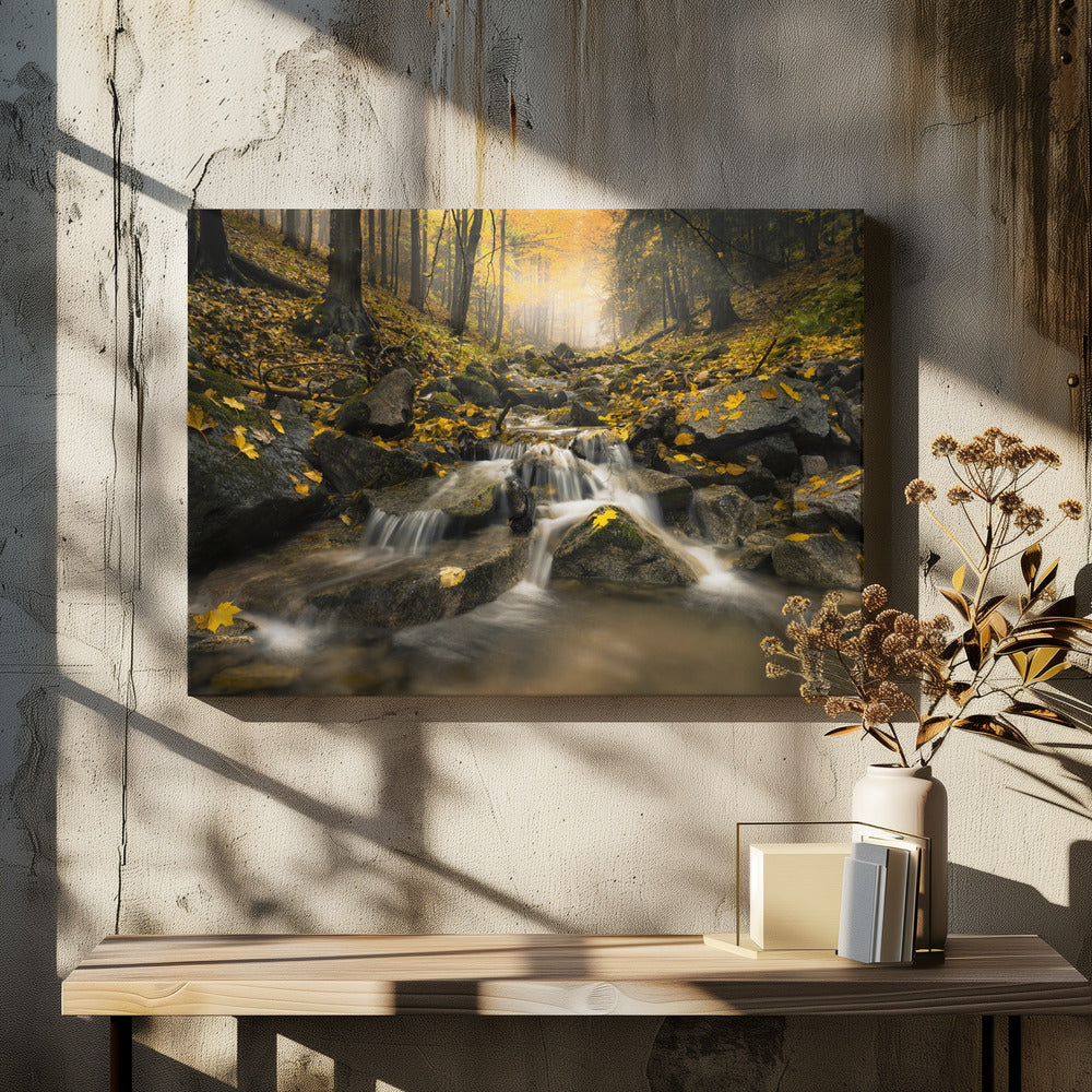 Autum Stream | Canvas