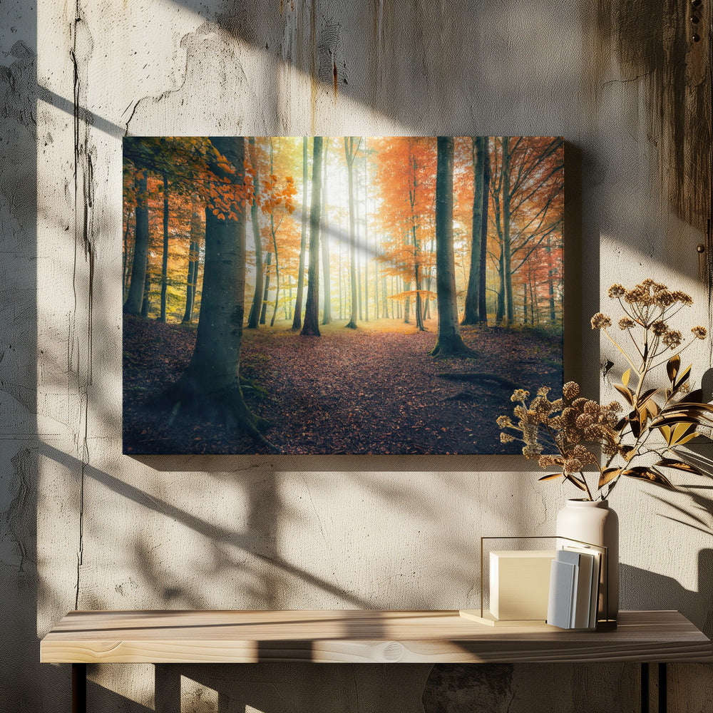 Autumn in the Woods | Canvas