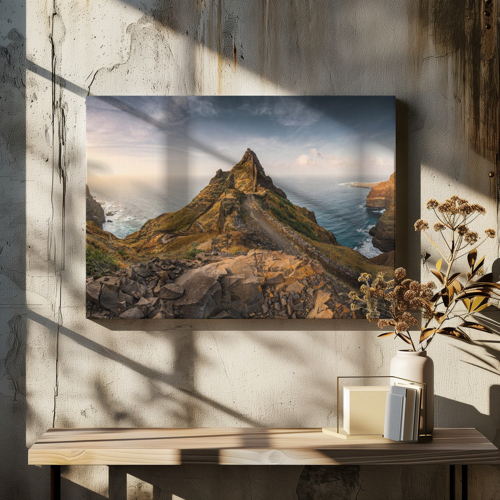 Coastal Path | Canvas