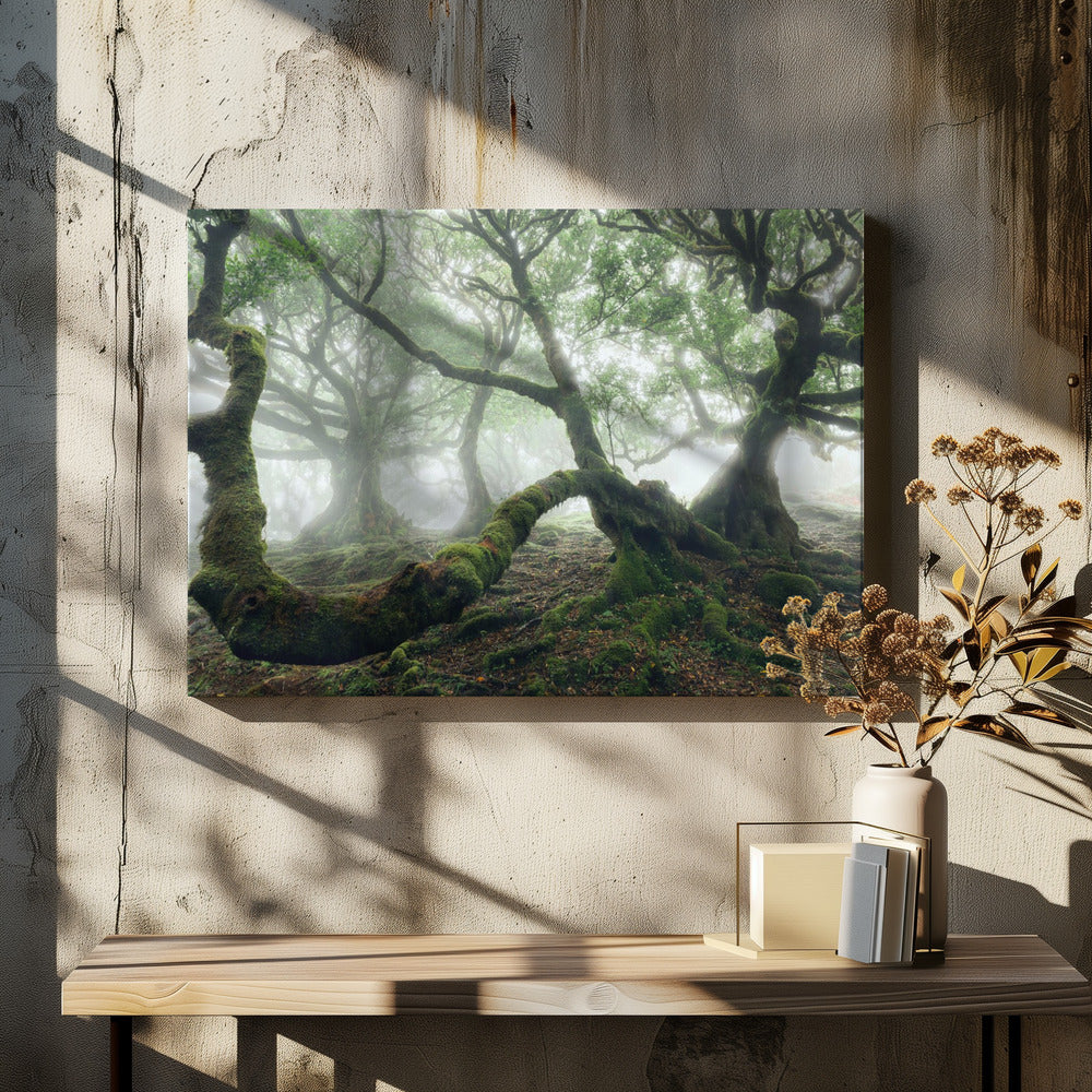 Mystic Laurel Forest | Canvas