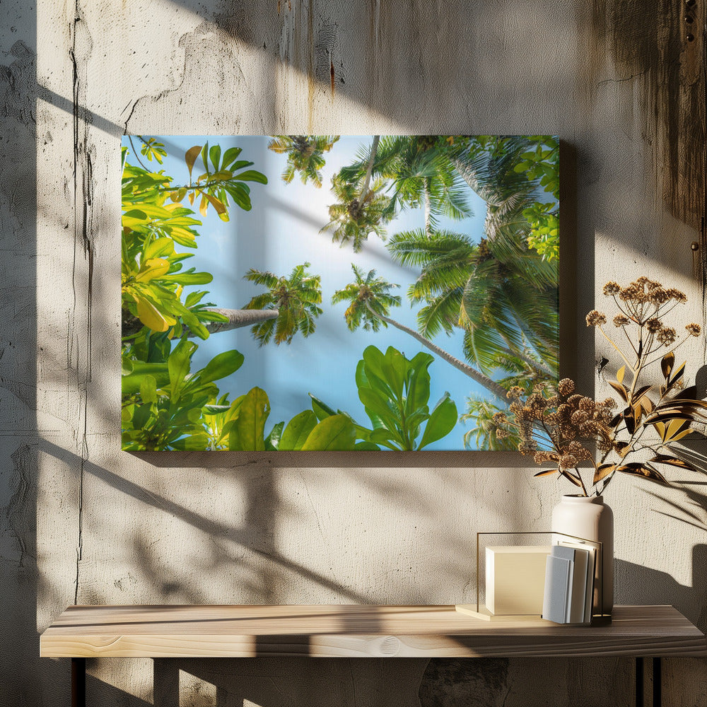 Tropical Up | Canvas