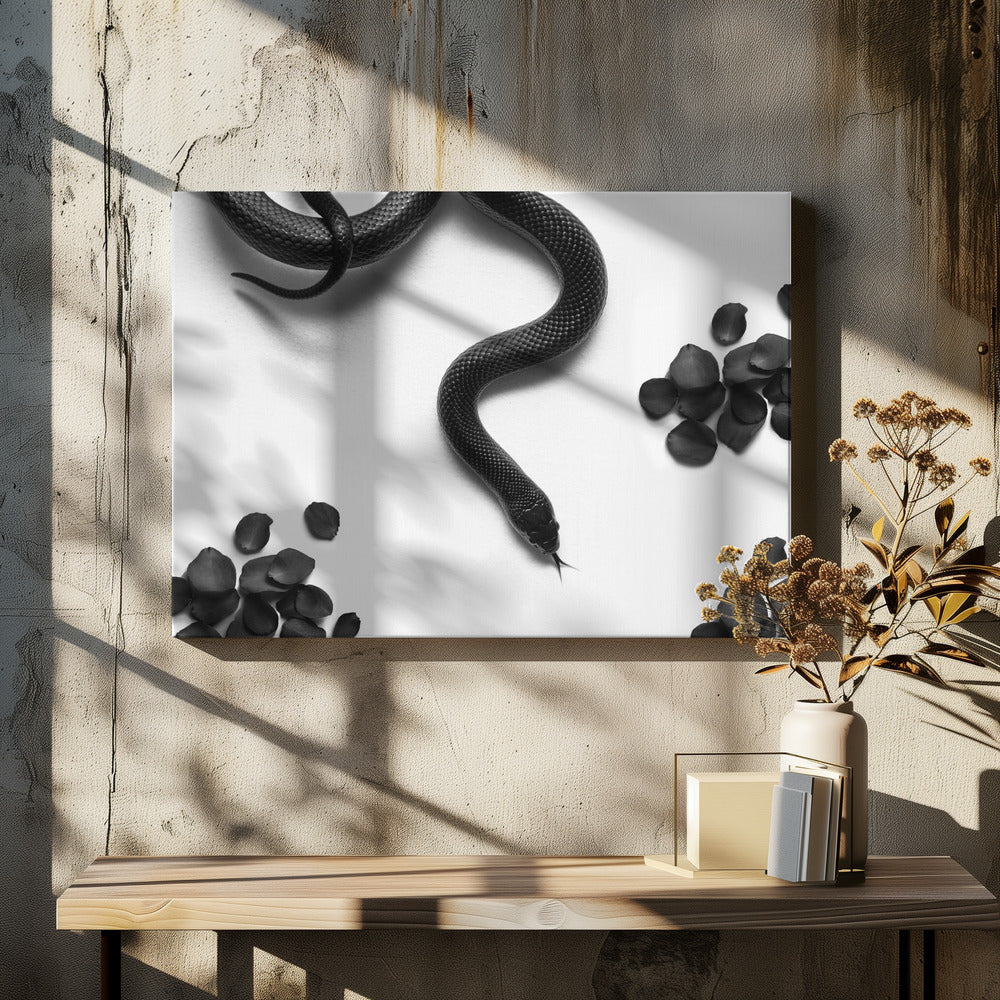 Black Snake Roam | Canvas