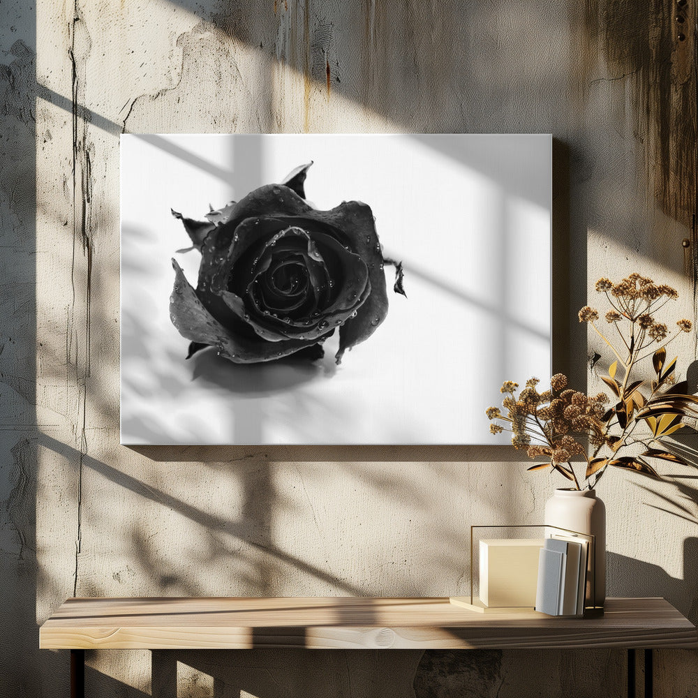 Rose Noir | Canvas